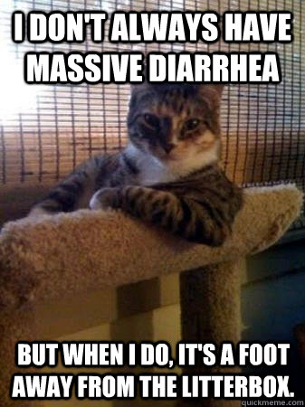 I don't always have massive diarrhea but when I do, it's a foot away from the litterbox.   The Most Interesting Cat in the World