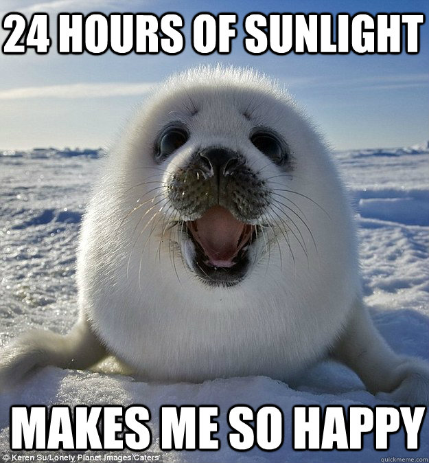 24 hours of sunlight makes me so happy  Easily Pleased Seal