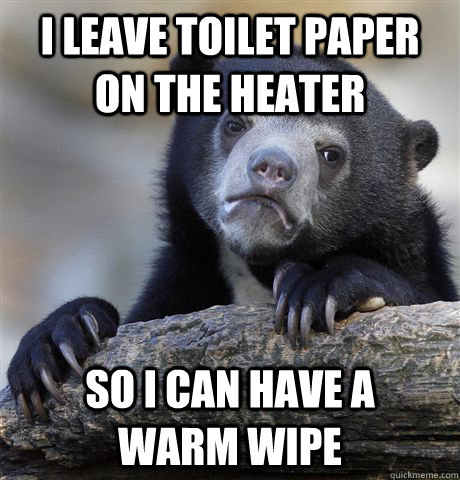 I LEAVE TOILET PAPER ON THE HEATER SO I CAN HAVE A     WARM WIPE - I LEAVE TOILET PAPER ON THE HEATER SO I CAN HAVE A     WARM WIPE  Confession Bear