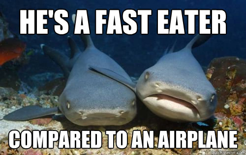 He's a fast eater compared to an airplane  Compassionate Shark Friend