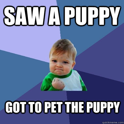 saw a puppy got to pet the puppy  Success Kid