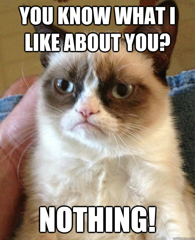 You know what I like about you? NOTHING!  Grumpy Cat