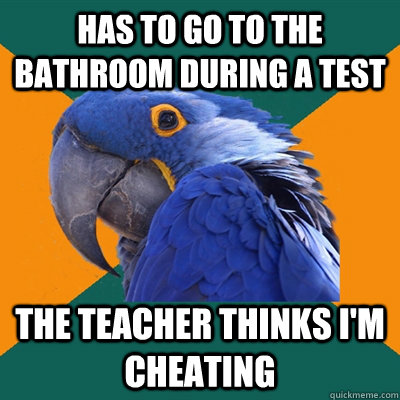 Has to go to the bathroom during a test the teacher thinks i'm cheating  Paranoid Parrot