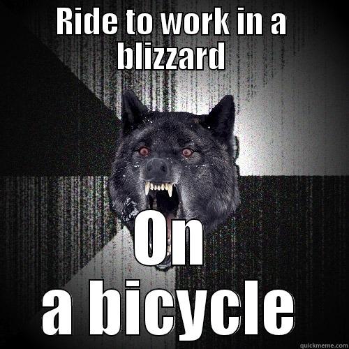 RIDE TO WORK IN A BLIZZARD ON A BICYCLE Insanity Wolf