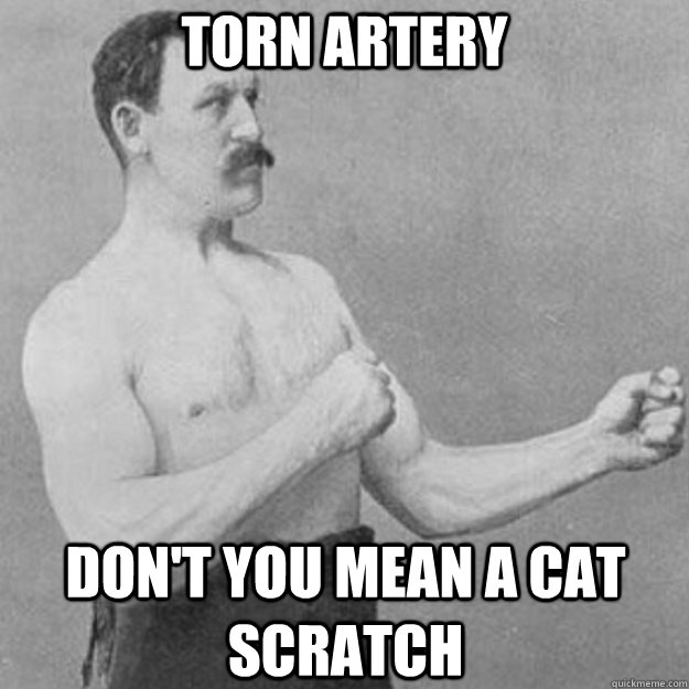 torn artery Don't you mean a cat scratch   overly manly man