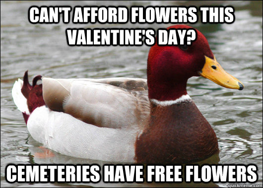 Can't Afford Flowers This Valentine's DAy? Cemeteries have free flowers  Malicious Advice Mallard