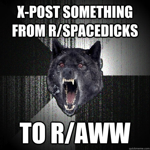 X-Post something from r/Spacedicks To r/Aww  Insanity Wolf