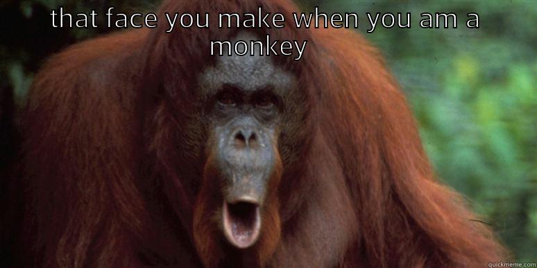 the monkey face - THAT FACE YOU MAKE WHEN YOU AM A MONKEY    Misc