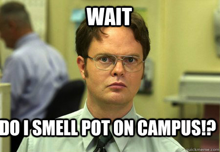 Wait do i smell pot on campus!?  Schrute