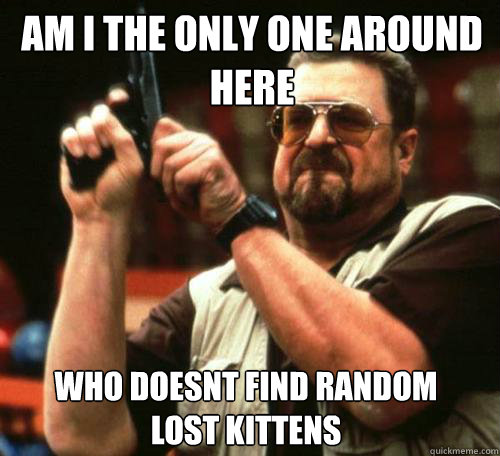 AM I THE ONLY ONE AROUND
HERE WHO DOESNT FIND RANDOM LOST KITTENS  - AM I THE ONLY ONE AROUND
HERE WHO DOESNT FIND RANDOM LOST KITTENS   Misc