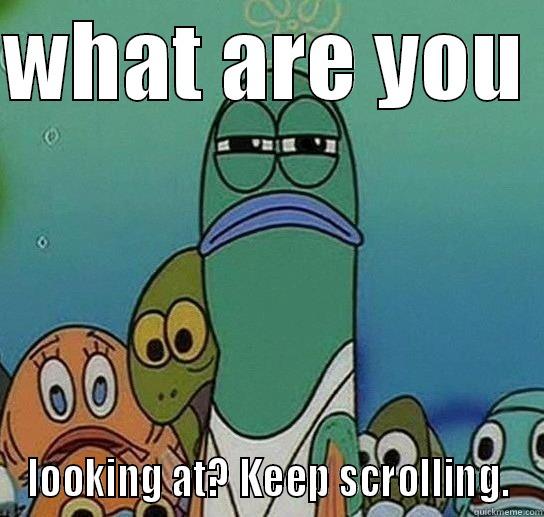 WHAT ARE YOU  LOOKING AT? KEEP SCROLLING. Serious fish SpongeBob