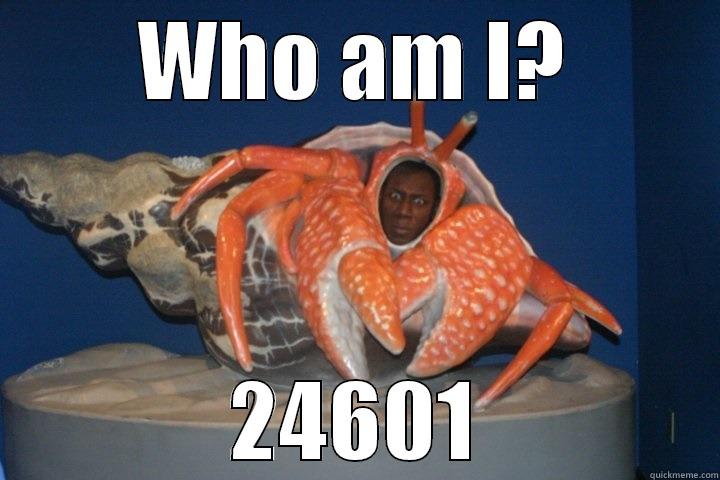 WHO AM I? 24601 Misc