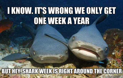 I know. It's wrong we only get one week a year But hey, shark week is right around the corner  Compassionate Shark Friend