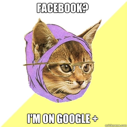 Facebook? I'm on Google +  Hipster Kitty