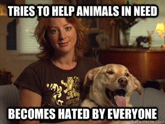 tries to help animals in need becomes hated by everyone  Sarah Mclachlan