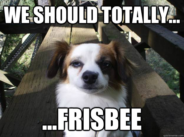 We should totally... ...frisbee  