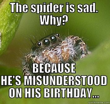 THE SPIDER IS SAD. WHY? BECAUSE HE'S MISUNDERSTOOD ON HIS BIRTHDAY... Misunderstood Spider