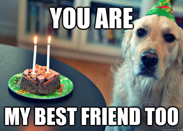 You are my best friend too  Sad Birthday Dog