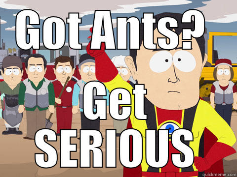 GOT ANTS?  GET SERIOUS Captain Hindsight