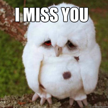 I miss you   - I miss you    Emo Owl