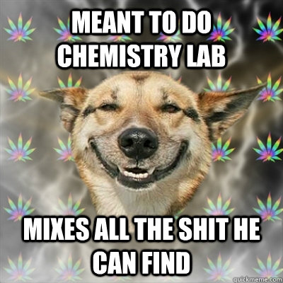 Meant to do chemistry lab mixes all the shit he can find  Stoner Dog