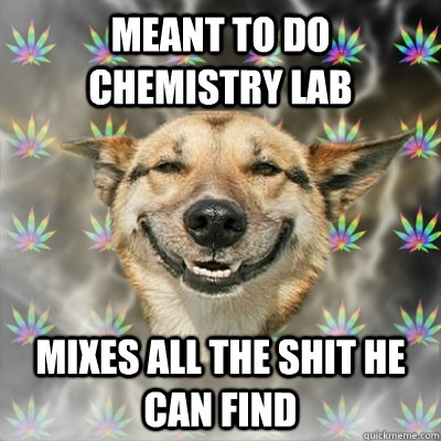 Meant to do chemistry lab mixes all the shit he can find  Stoner Dog