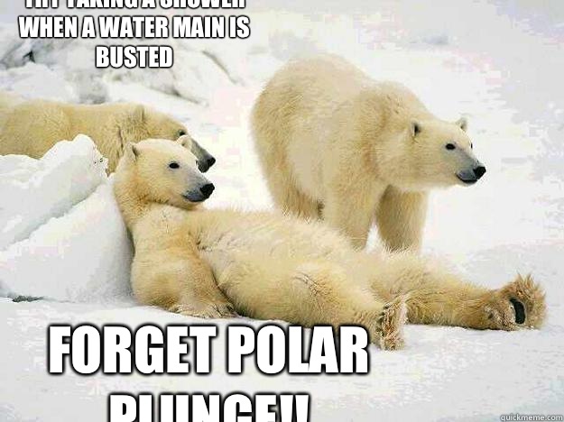Forget polar plunge!!  Try taking a shower when a water main is busted  - Forget polar plunge!!  Try taking a shower when a water main is busted   BI POLAR BEAR