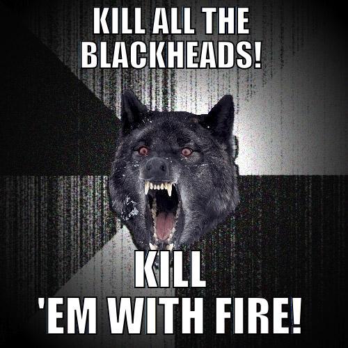 KILL ALL THE BLACKHEADS! KILL 'EM WITH FIRE! Insanity Wolf