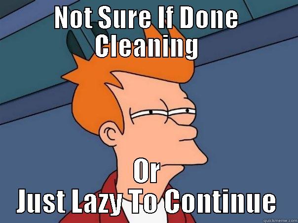 Cleaning Problems - NOT SURE IF DONE CLEANING OR JUST LAZY TO CONTINUE Futurama Fry