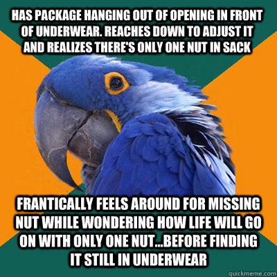 has package hanging out of opening in front of underwear. reaches down to adjust it and realizes there's only one nut in sack frantically feels around for missing nut while wondering how life will go on with only one nut...before finding it still in under  Paranoid Parrot