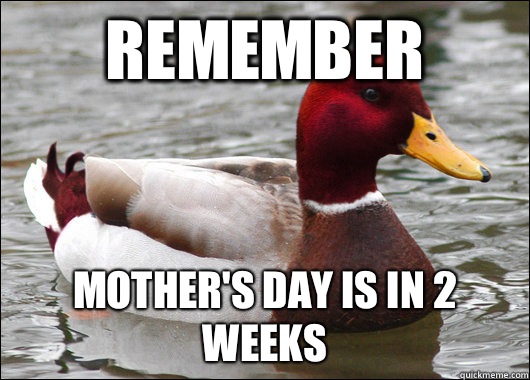 Remember  Mother's Day is in 2 weeks   Malicious Advice Mallard