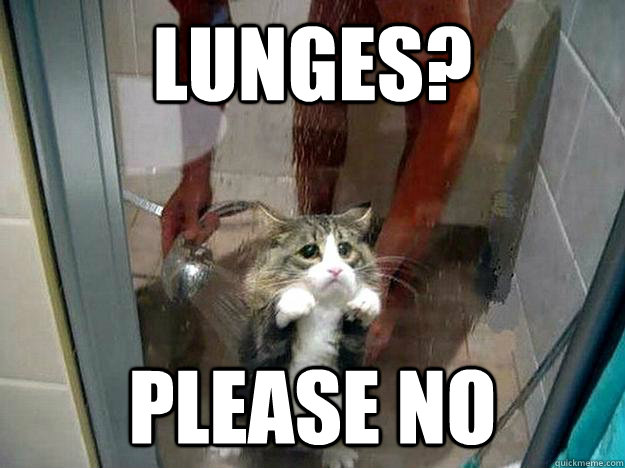lunges? please no - lunges? please no  Shower kitty