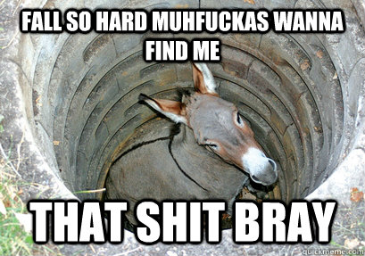 Fall so hard muhfuckas wanna find me that shit bray  