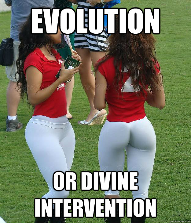 Evolution  Or divine intervention - Evolution  Or divine intervention  Misc