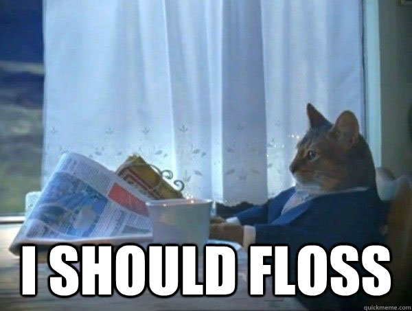I should floss  morning realization newspaper cat meme