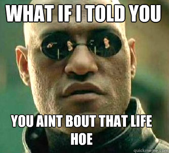 what if i told you You AInt Bout That Life hoe  Matrix Morpheus