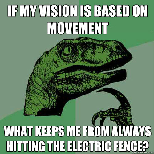 if my vision is based on movement what keeps me from always hitting the electric fence?  Philosoraptor