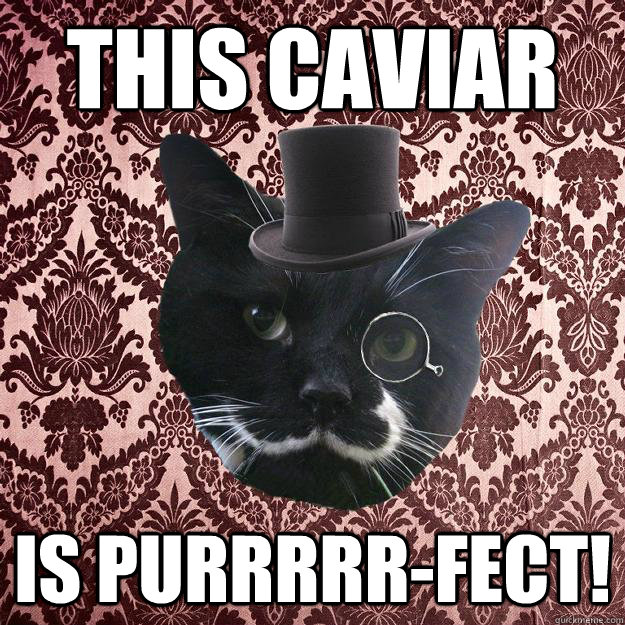 This Caviar Is Purrrrr-fect!  Proper Cat