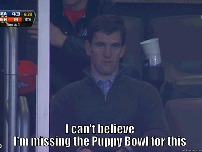  I CAN'T BELIEVE I'M MISSING THE PUPPY BOWL FOR THIS Misc