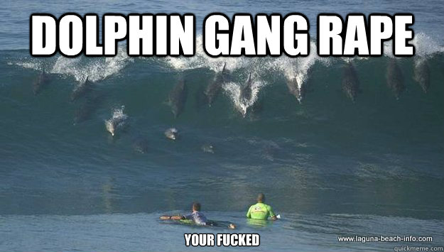 Dolphin Gang Rape your fucked  Dolphin Gang Rape