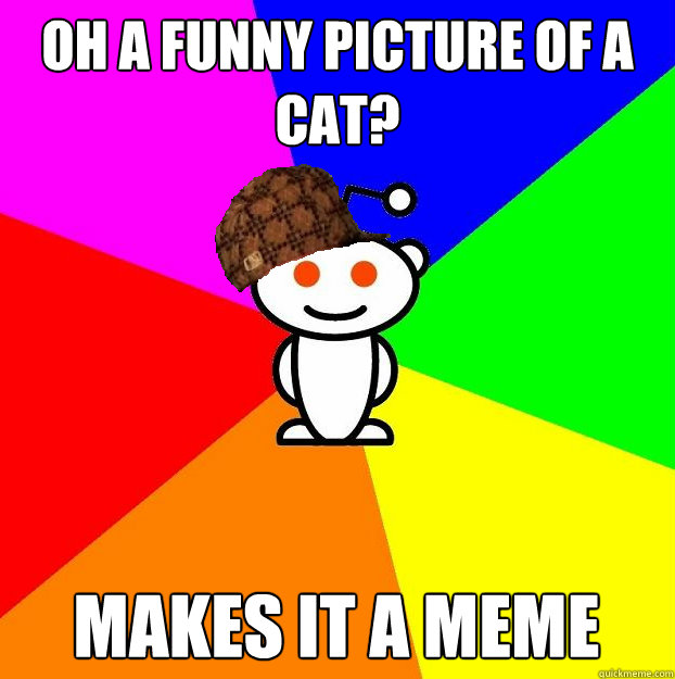 Oh a funny picture of a cat? Makes it a meme  Scumbag Redditor