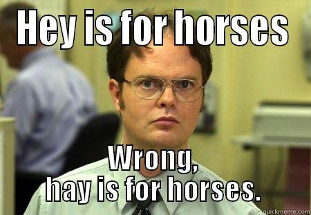 HEY IS FOR HORSES WRONG, HAY IS FOR HORSES. Schrute