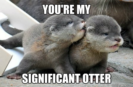 you're my significant otter  