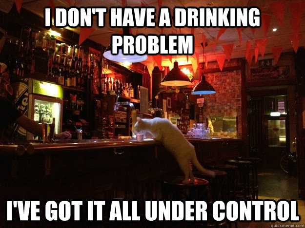 I don't have a drinking problem I've got it all under control  Alcoholic Cat