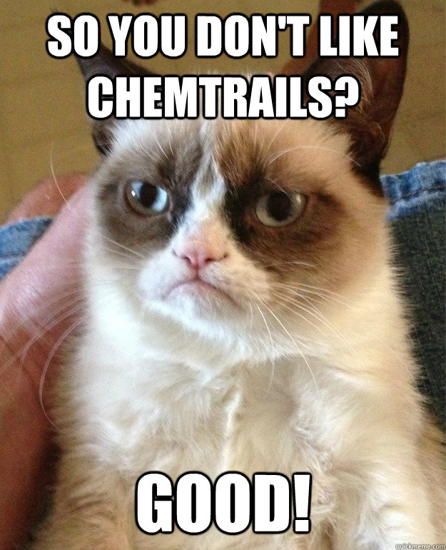 So you don't like chemtrails? Good!  Grumpy Cat