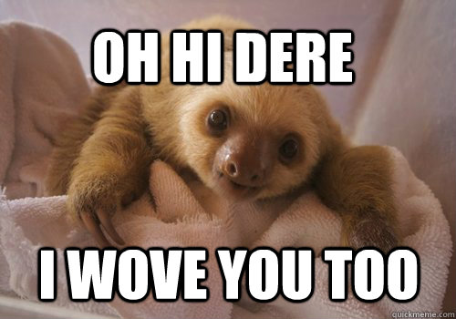 oh hi dere i wove you too  baby sloth