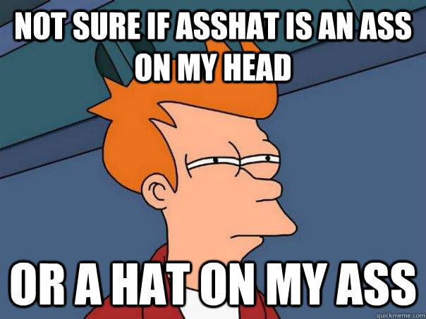 Not sure if asshat is an ass on my head or a hat on my ass  Futurama Fry