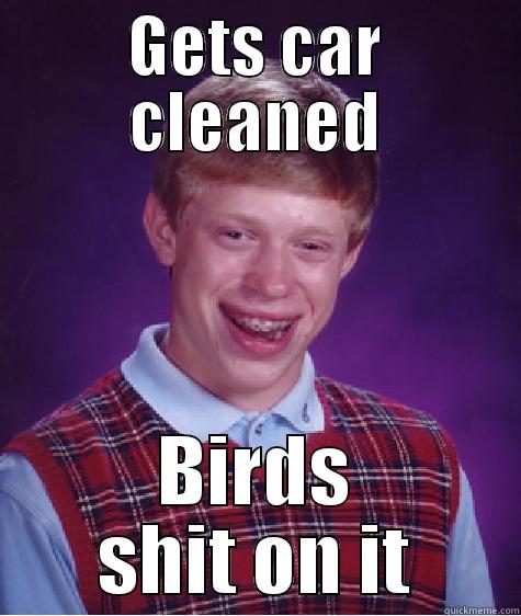 GETS CAR CLEANED BIRDS SHIT ON IT Bad Luck Brian