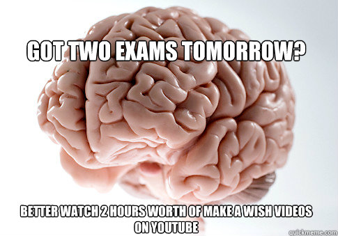 got two exams tomorrow? better watch 2 hours worth of make a wish videos on youtube  Scumbag Brain