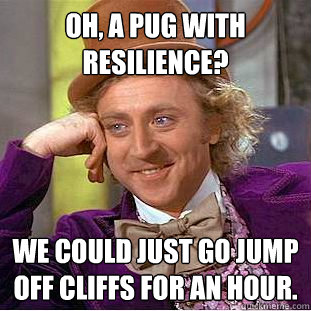 Oh, A pug with resilience? We could just go jump off cliffs for an hour.  Creepy Wonka